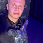 haaland Beesreign Media