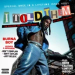 BurnaBoyIToldThem Beesreign Media