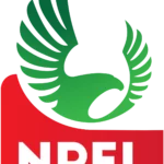 npfl Beesreign Media