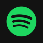 spotify Beesreign Media