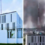 20231106184819 Beesreign Media