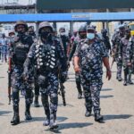 images Beesreign Media