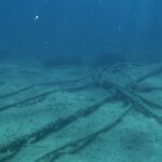 subseacable Beesreign Media