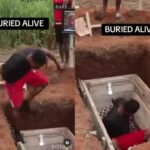 Tiktok account of content creator who did the burial challenge gets banned Beesreign Media Tiktok account of content creator who did the burial challenge gets banned