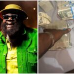 InCollage20240624184747948~2 Beesreign Media