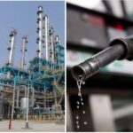 Screenshot20240610102751 Beesreign Media