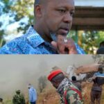 Screenshot20240611125230 Beesreign Media