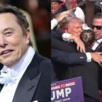 FunPic20240716144535182 Beesreign Media