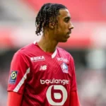 Lenyyoro768x432jpg Beesreign Media