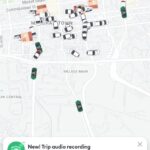 20240822120500 Beesreign Media