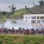 Screenshot20240801153629 Beesreign Media