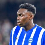 images 20240812T061426154 Beesreign Media