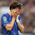 1000278850 Beesreign Media