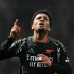 21819807110 Beesreign Media