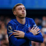 9d4dbaf5271bb333de648d887851be07webp Beesreign Media