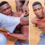 InCollage20241023160946986750x375 Beesreign Media