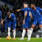 21914812890 Beesreign Media