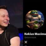ElonMuskchangeshisnametoKekiusMaximusonX Beesreign Media