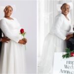 IMG7397750x375 Beesreign Media