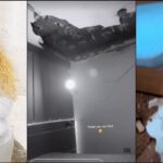 abecd101 Beesreign Media