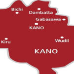 Federal Government Confirms Bird Flu Outbreak In Kano State Beesreign Media