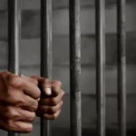 Prison768x377 Beesreign Media