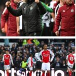 Screenshot20250205232527 Beesreign Media