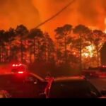 Screenshot20250303171231 Beesreign Media