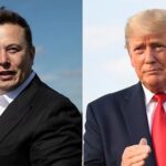 musktrump Beesreign Media