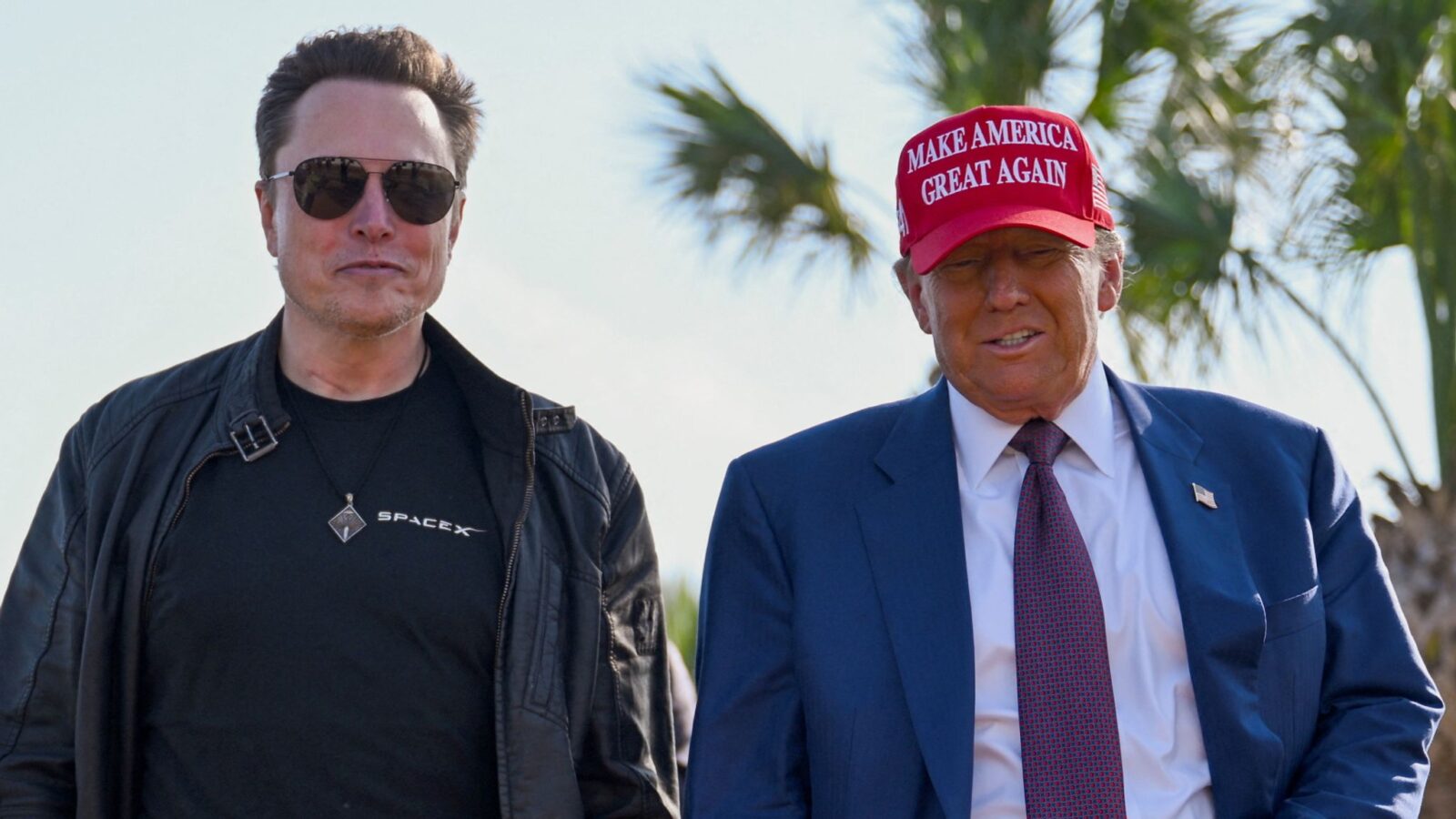 IMG0949 Beesreign Media