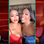 download 1 Beesreign Media