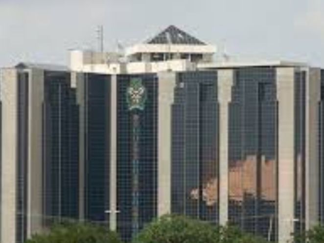 IMG20250508074702 Beesreign Media