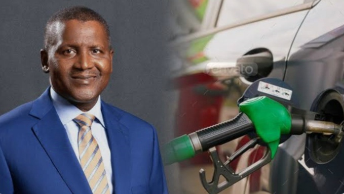 IMG20250512092439 Beesreign Media