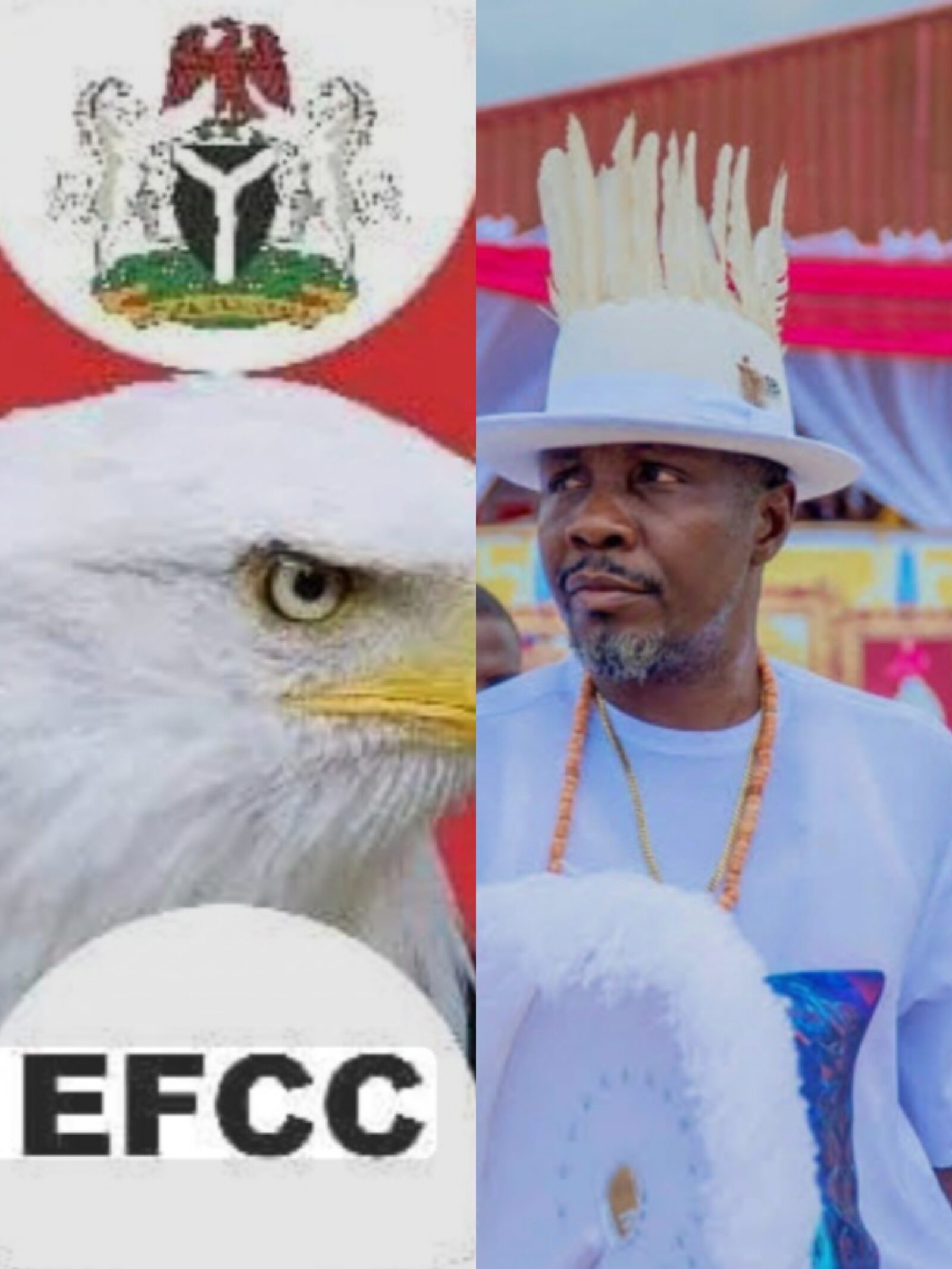 IMG20250512142143 Beesreign Media