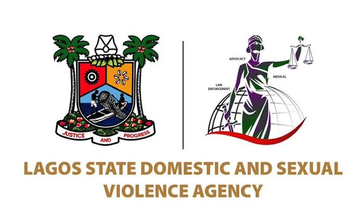 Lagos state Domestic Beesreign Media