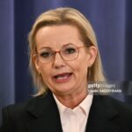 Sussan Ley Beesreign Media