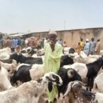 GsbFKmwXQAE4u0v Beesreign Media