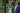 William Troost Ekong