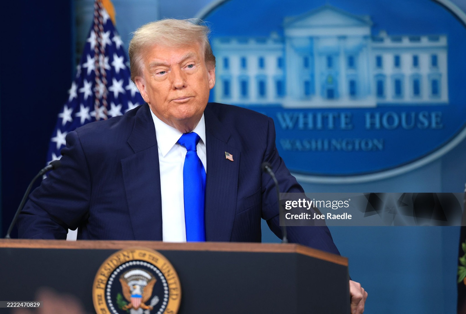 Donald Trump Beesreign Media