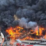 Tomorrowland Beesreign Media