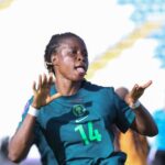 Super Falcon Beesreign Media