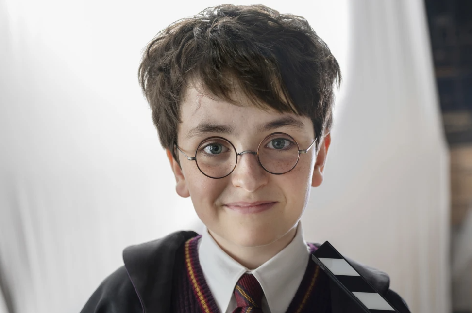 Harry Potter Beesreign Media