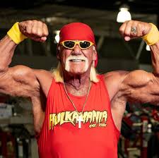 Hulk Hogan Beesreign Media